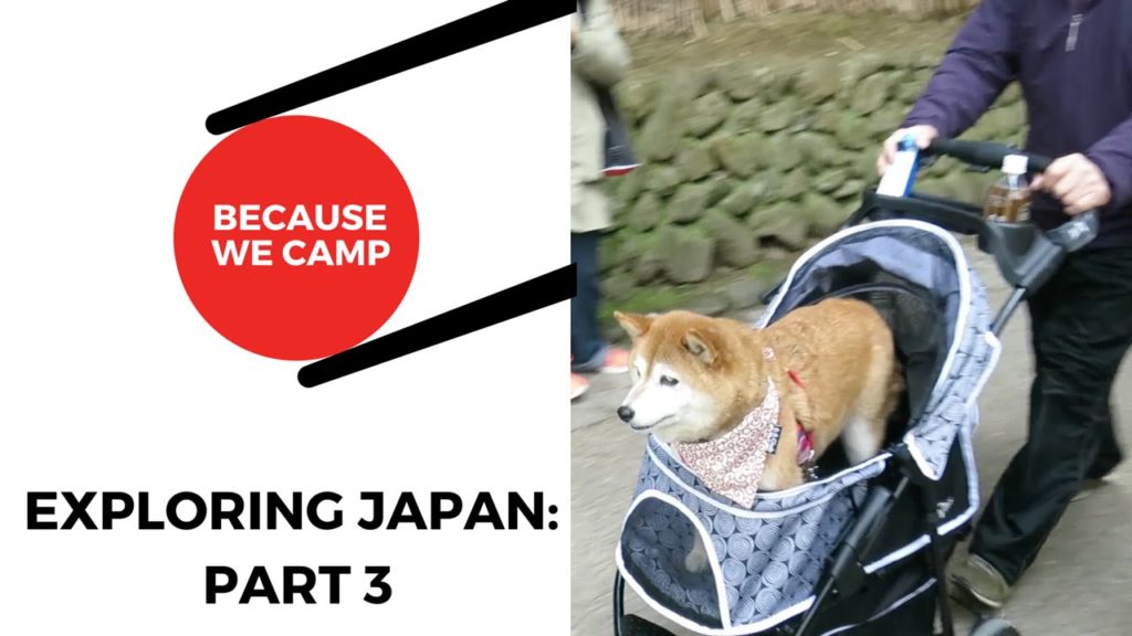 Exploring Japan Part 3: Kyoto | Hospital | Fushimi Inari Taisha | Bamboo Forest | Izakaya