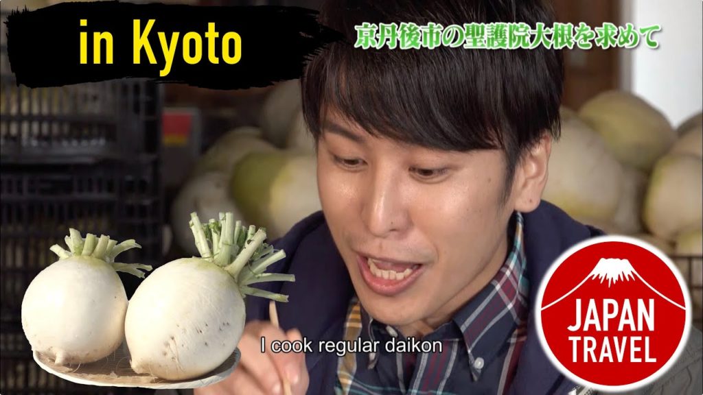 Japan Travel Kyoto - Kyotanngo’s SHOGOIN DAIKON