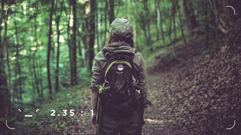 PhotoWalk : hiking through the black forrest [ Panasonic Lumix S1 ]