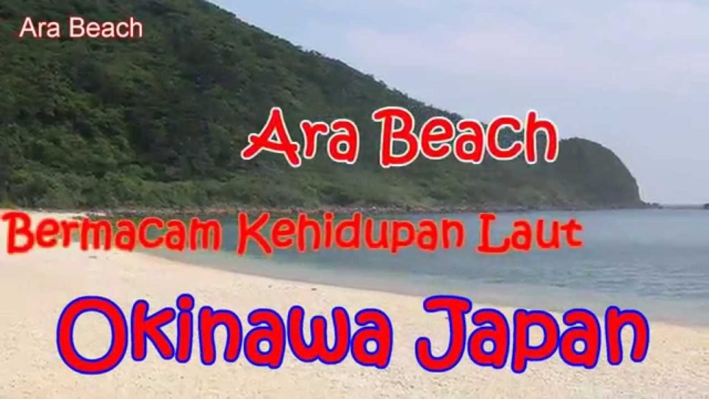 Travel Jepang: Pantai Ara Berbagai Kehidupan Laut Kumejima Okinawa 36