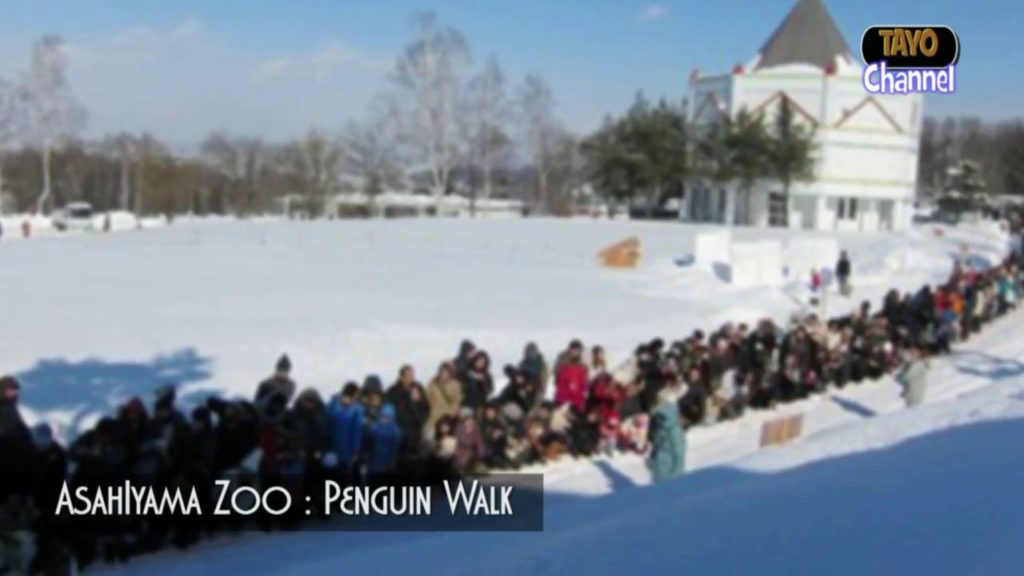 Asahikawa to Daisetsuzan, Hokkaido, Japan Special with FULL PREVIEW HD