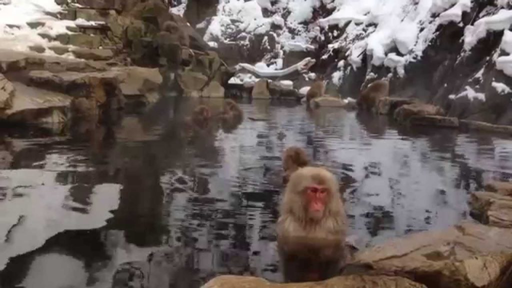 Welcome to My Japan; 私の日本、ようこそ Welcome to My Japan; 私の日本、ようこそ