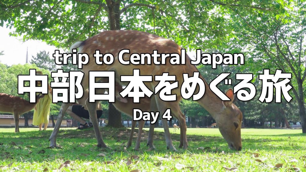 [Nara]trip to Central Japan Day 4 / Dear Deer