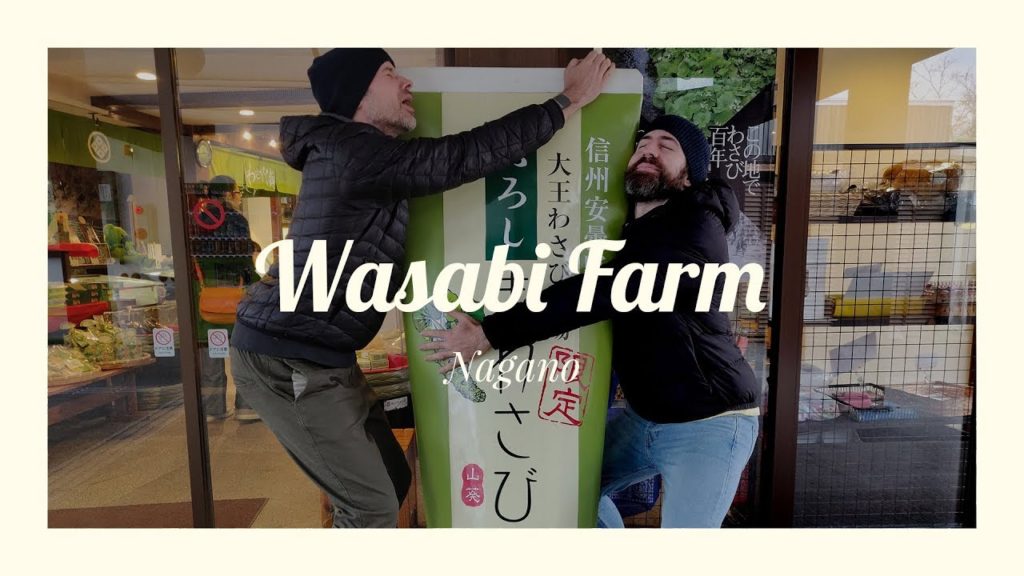 Japan Free / Wasabi Farm Japan Free / Wasabi Farm