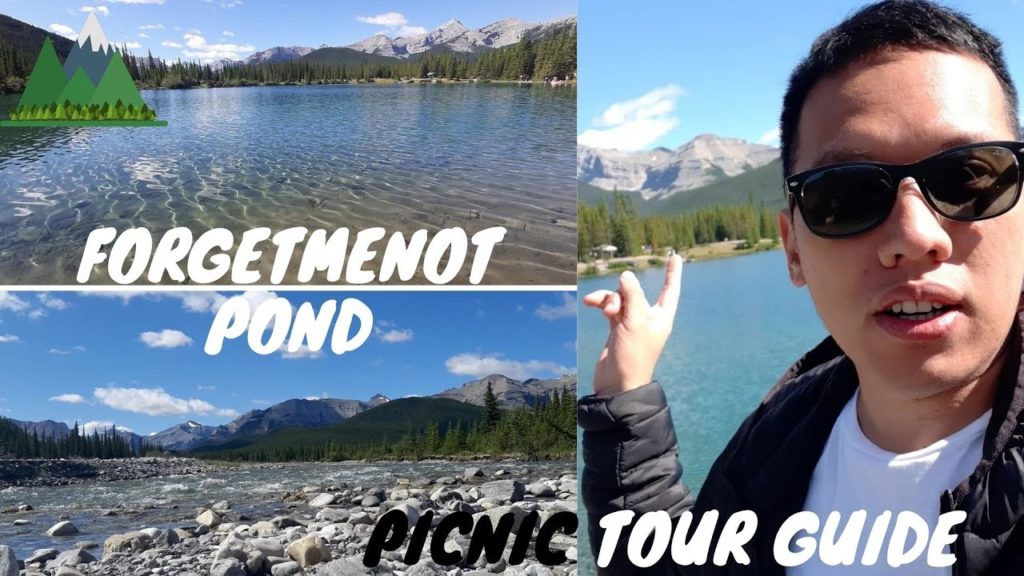 Forgetmenot Pond Kananaskis Country | Weekend Vlog | Travel Tips