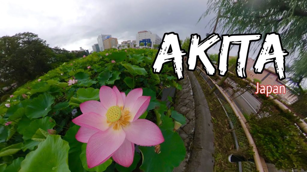 Akita Story | Raj Clips