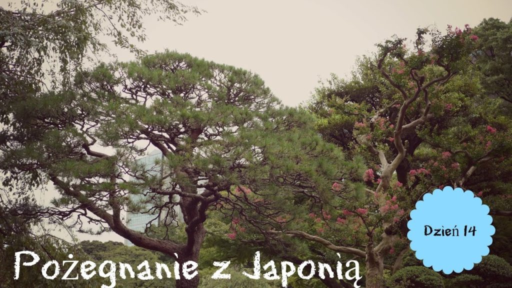 W japońskim ogrodzie | POŻEGNANIE Z JAPONIĄ #17