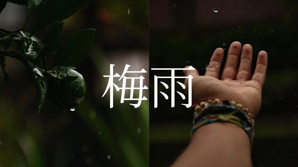 梅雨 | The rainy season of Japan.