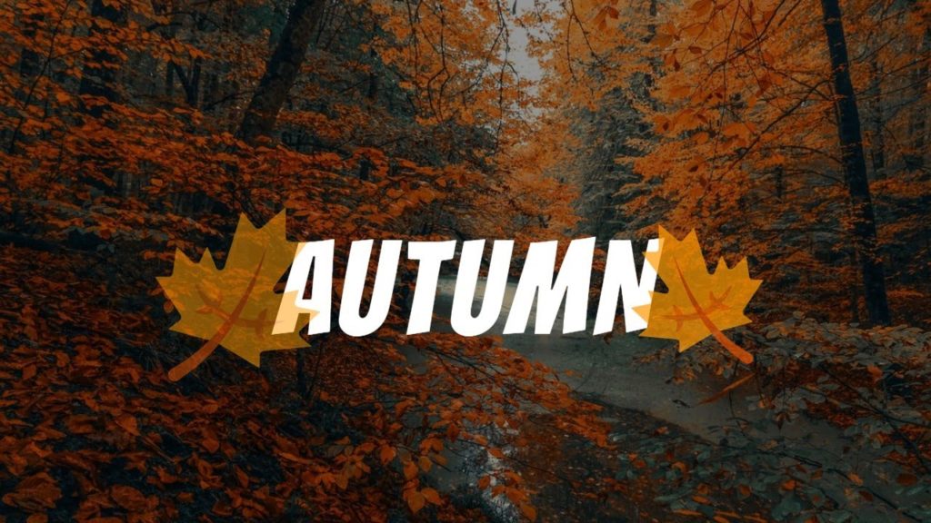 Wonderful Places To See Beautiful Autumn Leaves