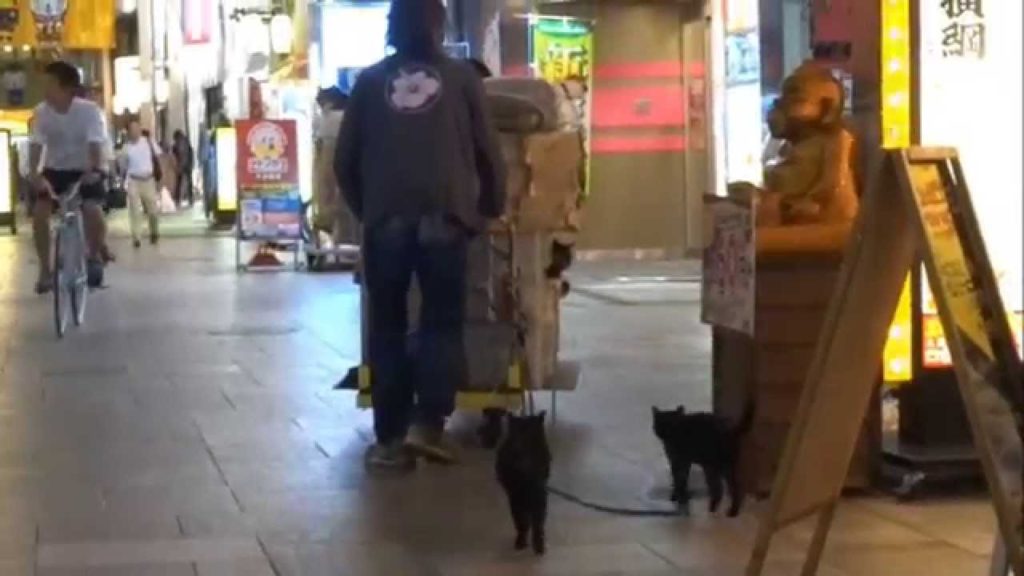 KOBE/OSAKA (a short film)