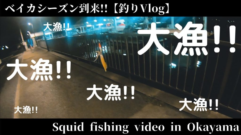 【ベイカ釣り】エギで狙うナイトゲーム / Squid fishing video in Okayama 【ベイカ釣り】エギで狙うナイトゲーム / Squid fishing video in Okayama