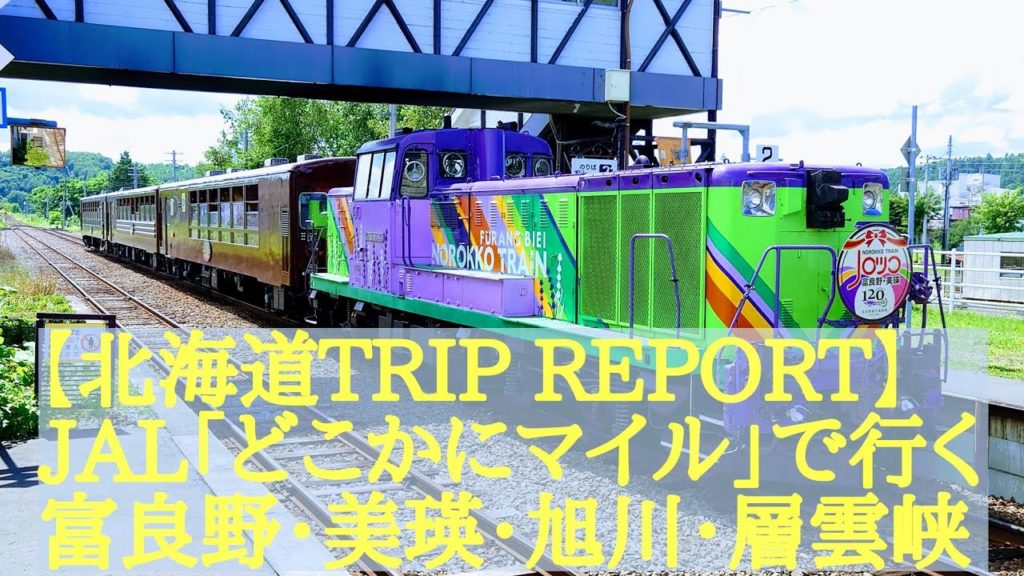 [４Ｋ]【北海道TRIP REPORT/富良野FURANO・美瑛BIEI・旭川ASAHIKAWA・層雲峡温泉SOUNKYO】JAL「どこかにマイル」で行く北海道  旭川･富良野･層雲峡温泉