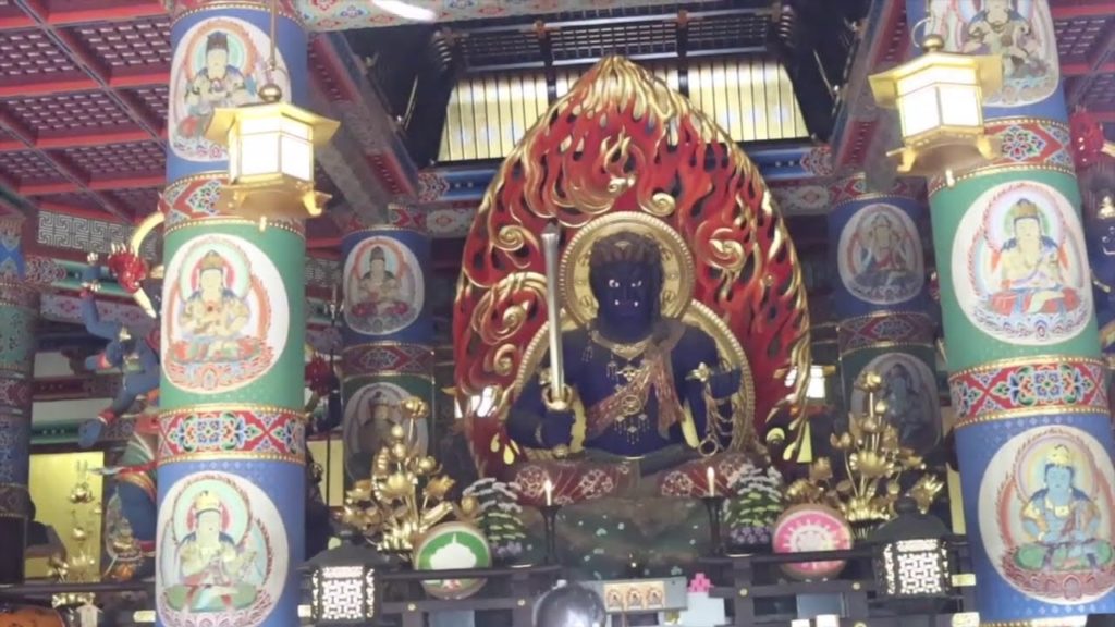 JAPAN  TOKYO DHARSAN  VLOG 1