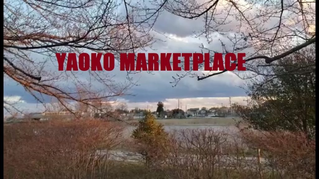 JAPAN TRIP - YAOKO MARKETPLACE AND AZALEA MALL