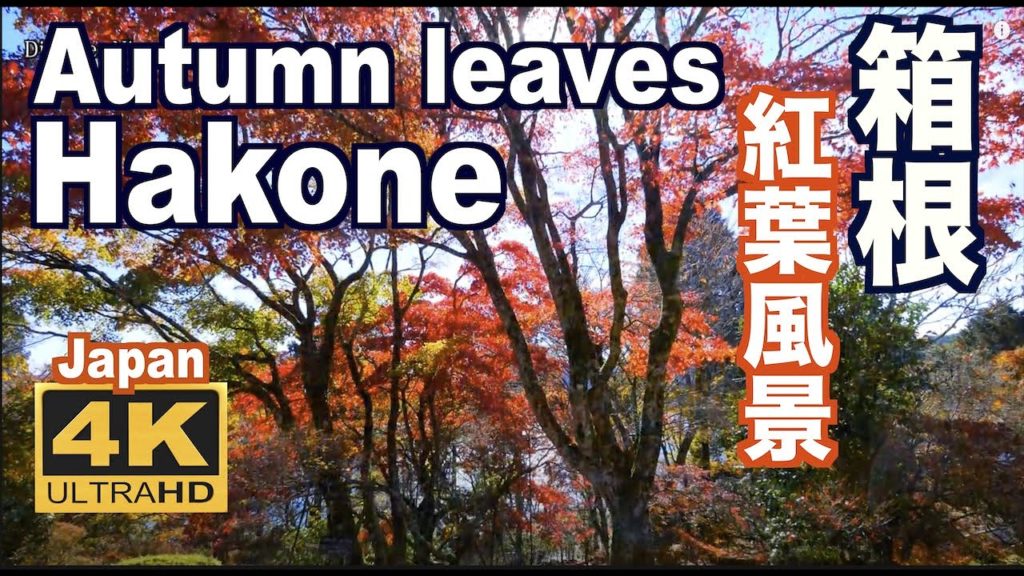 ［4K］Autumn leaves of Lake Ashinoko in Hakone 箱根 芦ノ湖の紅葉 箱根観光 旅行 名所 秋 日本の紅葉 JAPAN Travel 仙石原 Mt. Fuji
