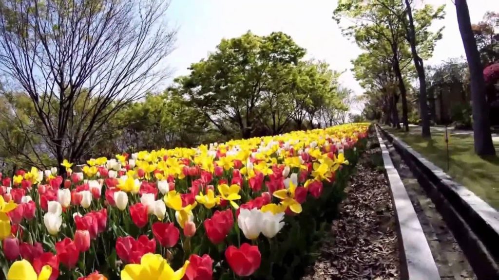 Japan Trip: Art at Shikoku Mura, Takamatsu City, Kagawa Prefecture, Japan