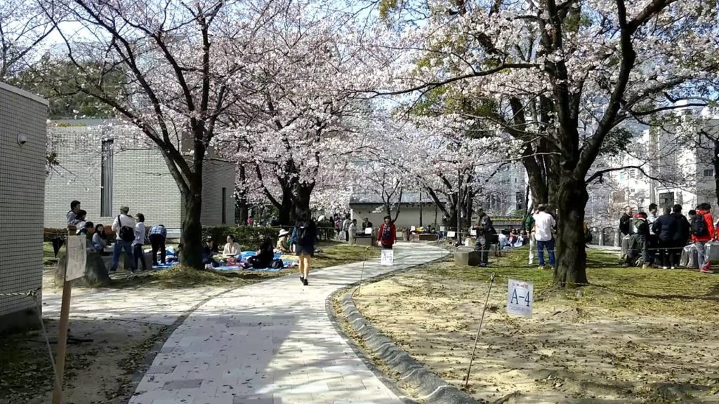 A Walk Through Tenjin Central Park in Fukuoka Japan