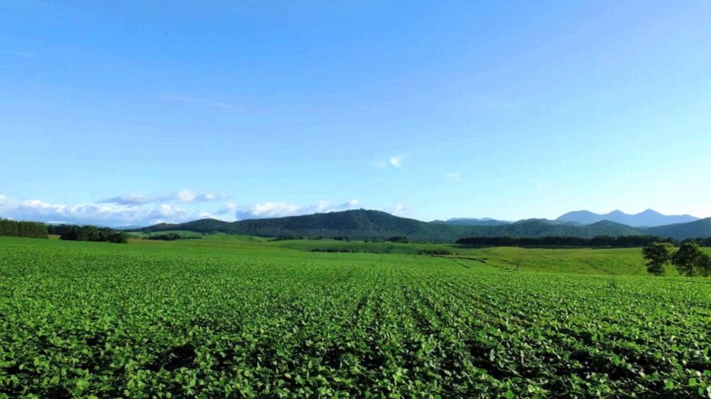 Hokkaido summer eastern road north road landscape video (BGV)