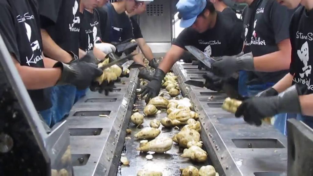 Okuchi Distillery: A Kagoshima Favorite from the Isa Basin