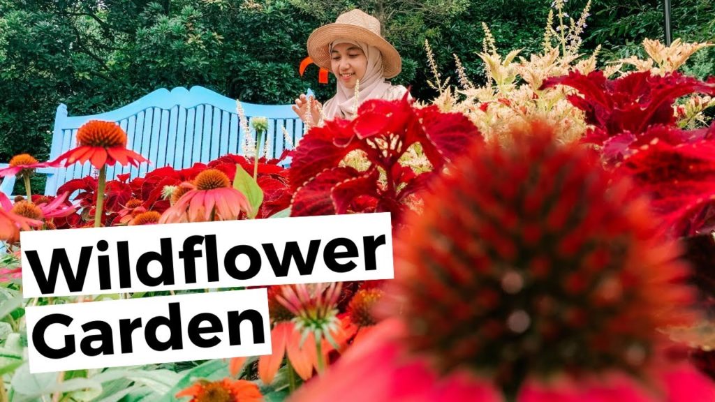 Summer in Nagoya | Kebun Bunga, Pijat Refleksi Gratis, UFO Catcher