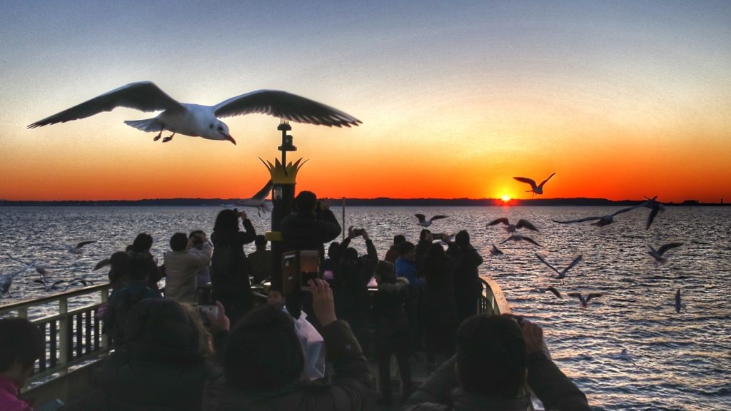 初日の出クルーズ - 浜名湖遊覧船 （公式）