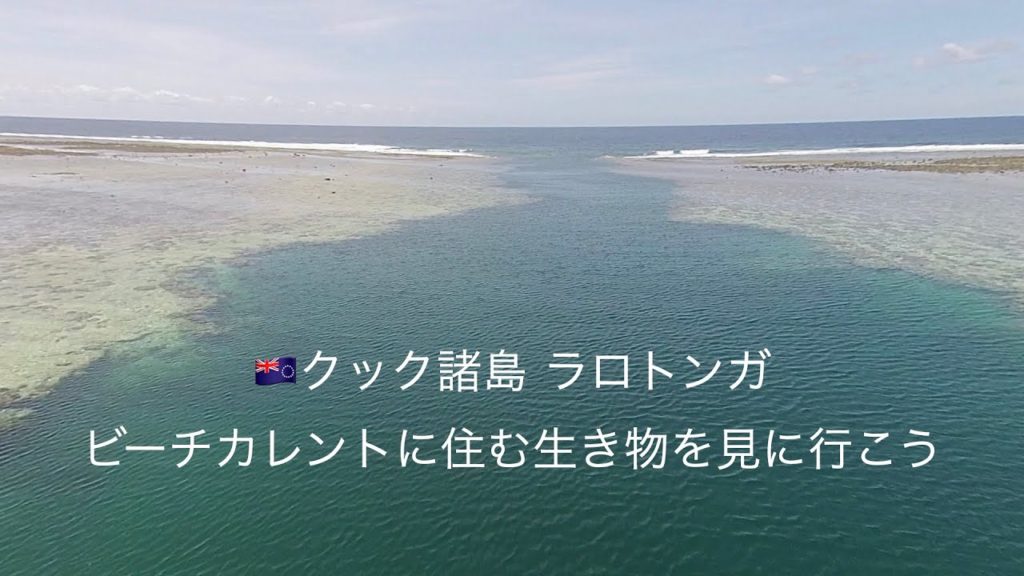 海外動画　南太平洋　クック諸島のラロトンガドローン空撮動画　字幕ON　Walk in air Rarotonga　beach current　drone subtitled