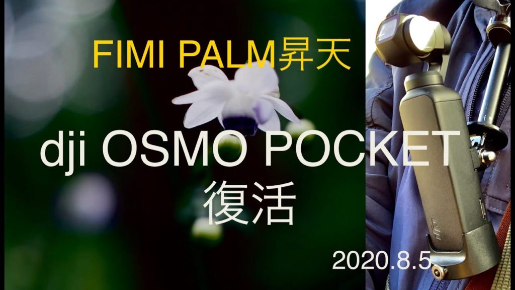 【FIMI PALM昇天でdjiOSMO POCKET復活】都立殿ヶ谷戸庭園で蓮華升麻を撮る4K 【FIMI PALM昇天でdjiOSMO POCKET復活】都立殿ヶ谷戸庭園で蓮華升麻を撮る4K