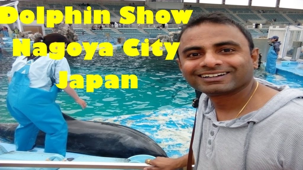 Japan : Nagoya City | Dolphin Show in Nagoya Japan | Japan Travel