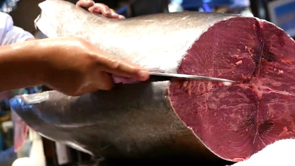 Giant Bluefin Tuna Cutting Show / Japanese Street Food