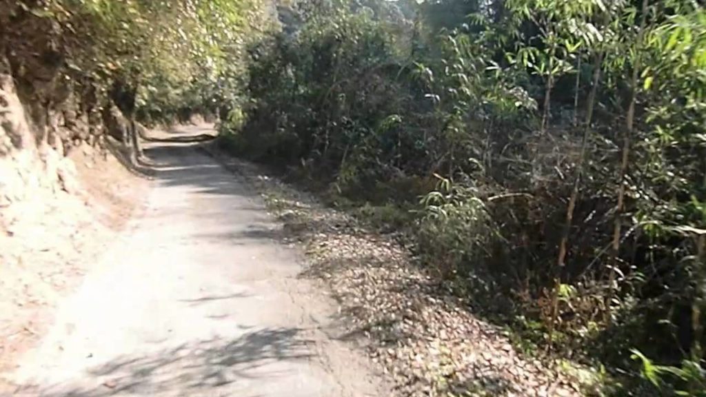 Scooter Ride in Kagoshima Japan through Bamboo Forest