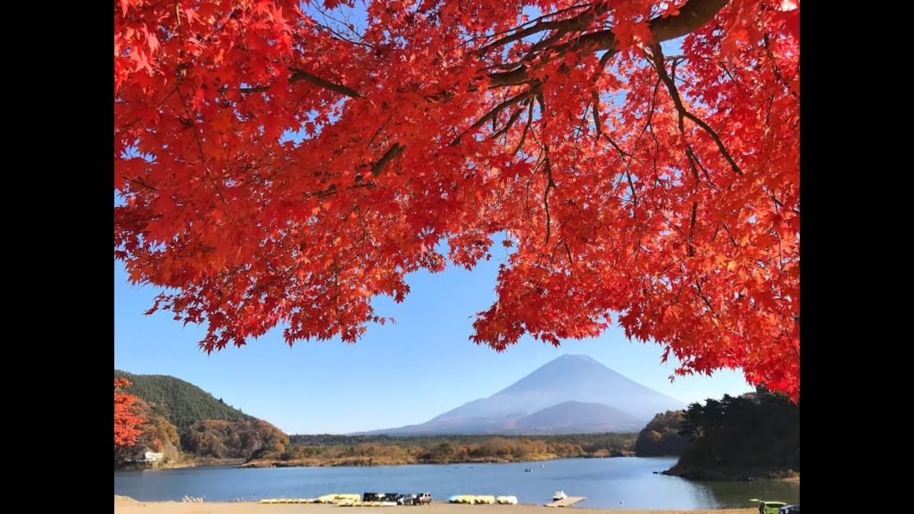 Photo spot of Mt.Fuji & autumn leaves in lake Shoji 精進湖の紅葉と富士山2017 Photo spot of Mt.Fuji & autumn leaves in lake Shoji 精進湖の紅葉と富士山2017