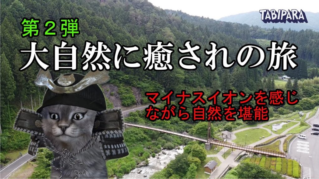 風のつり橋へ大自然に癒されの旅【森林！名倉川！マイナスイオン浴び大自然を満喫！】（Japan Travel, Nature）