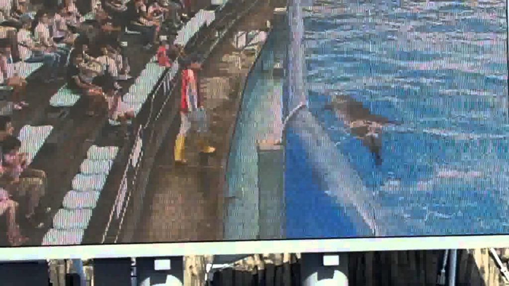 Japan Trip 2010, Port of Nagoya Public Aquarium