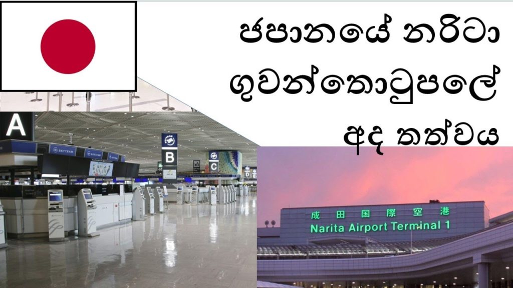 Japan Narita Airport today 8/6 ජපානයේ නරිටා ගුවන්තොටුපලේ අද තත්වය