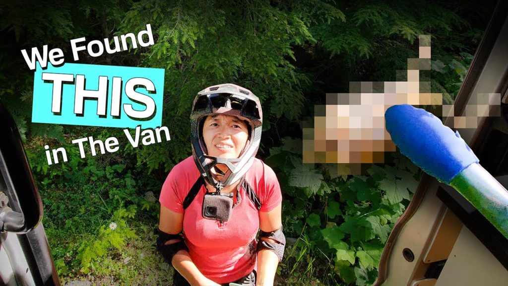 An Unwelcome Intruder in Our Van... 😬