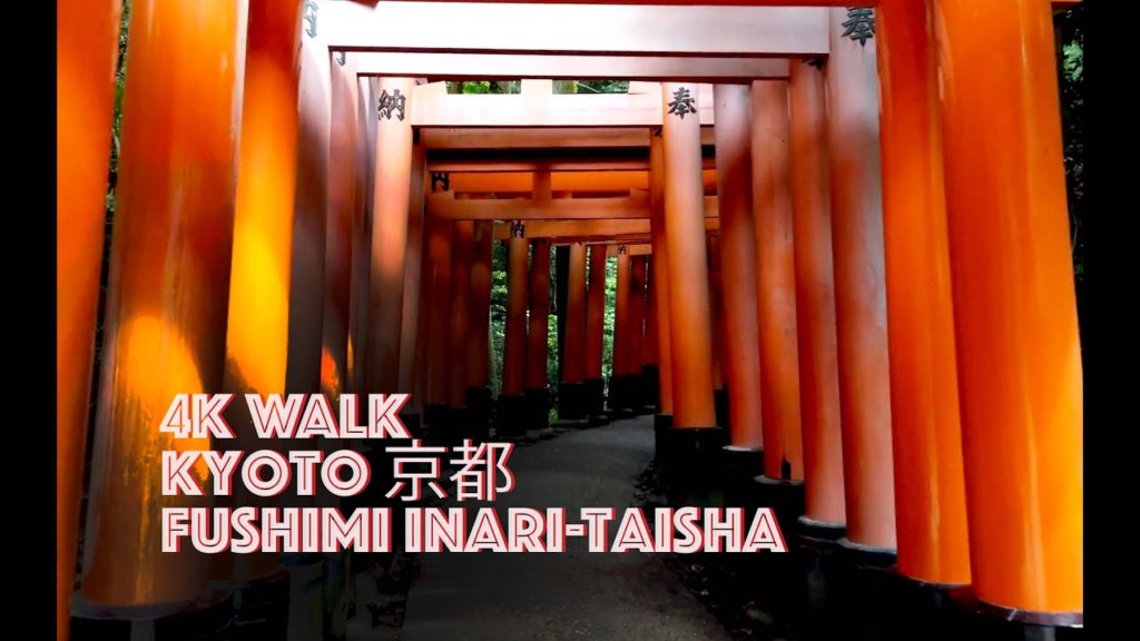 4K Fushimi Inari-Taisha 伏見稲荷大社 Virtual Tour 京都 Kyoto, 日本 Japan Torii Gates Walk 166