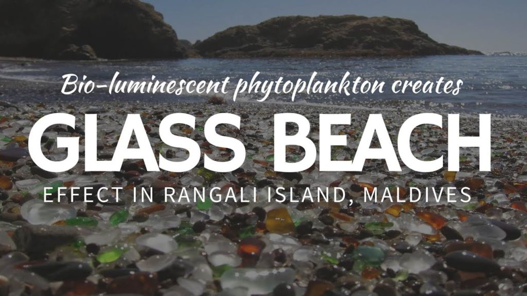 Glass Beach as the most COLORFUL place in Fort Bragg, California