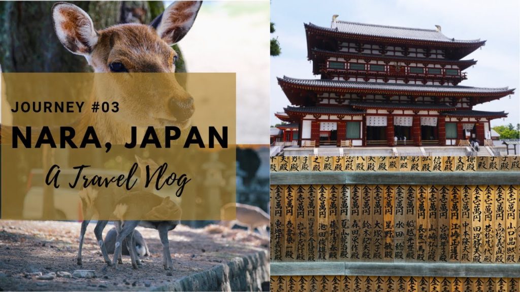 Nara Japan Travel Vlog : Day Trip to Nara From Kyoto