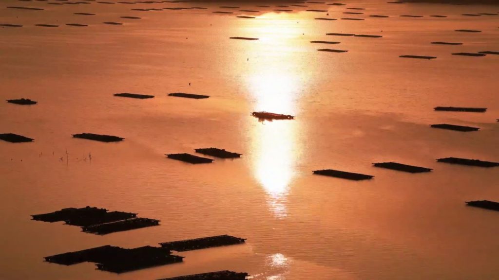 Japan 1minute Travel Okayama Mushiage（約１分の岡山虫明の絶景動画）