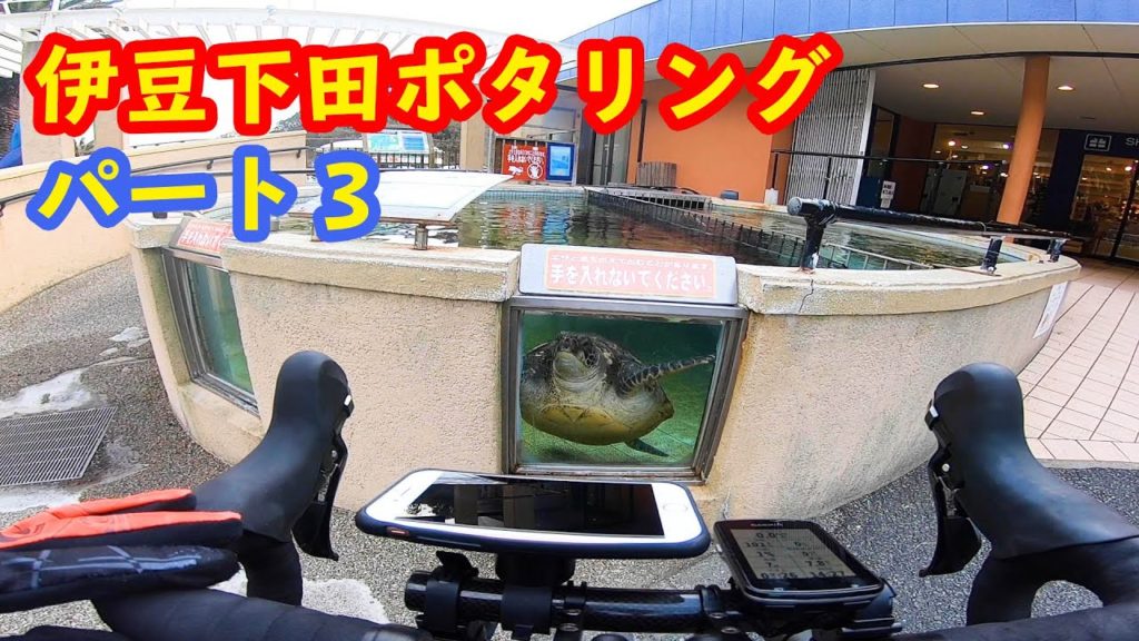 【伊豆ポタリング】伊豆下田をポタリングしてきました パート3【ロードバイク】Izu Shimoda cycling in Japan part3, Shizuoka pref 【伊豆ポタリング】伊豆下田をポタリングしてきました パート3【ロードバイク】Izu Shimoda cycling in Japan part3, Shizuoka pref