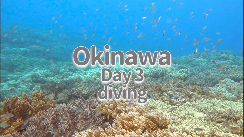 Okinawa Trip Day3 ❤︎ 沖縄旅行 ダイビング ニモとウミヘビに遭遇 FDR-X3000