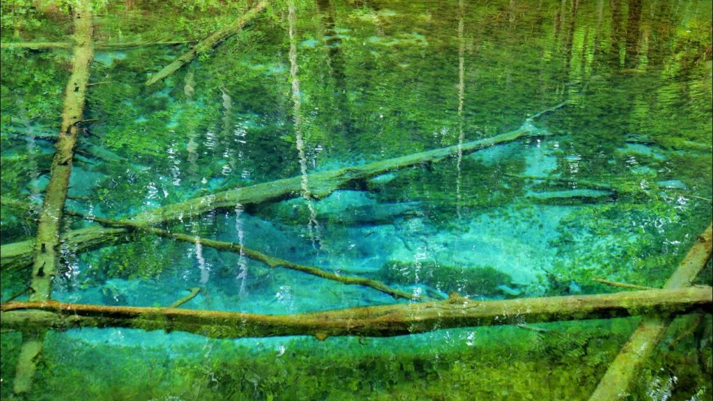 JG☆☆☆☆8K HDR Hokkaido,Kiyosato and Shari,Water Scenes 北海道 清里と斜里の水景(神の子池,桜の滝,来運)
