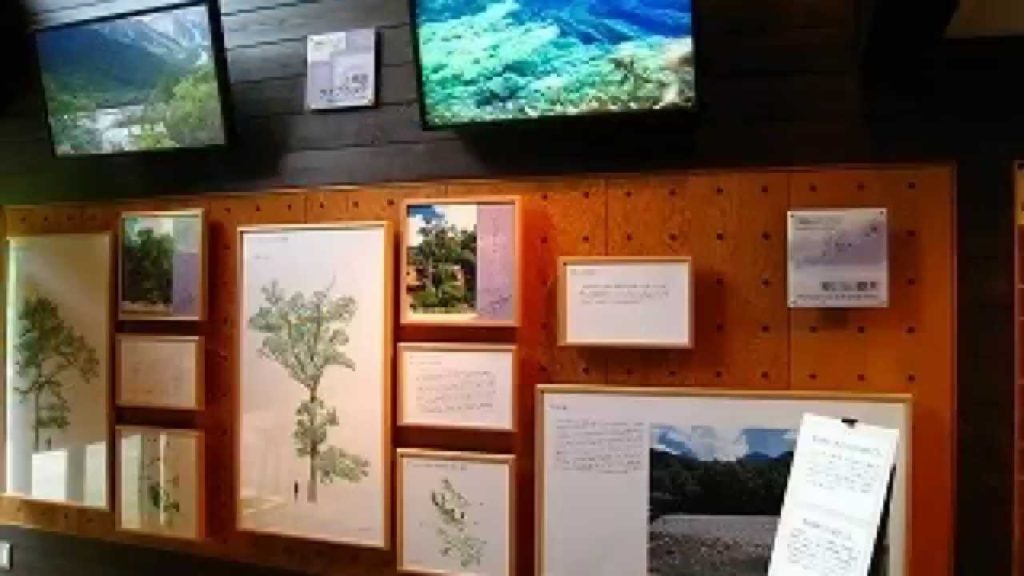 Japan Trip: Kamikochi visitor center nature information, Nagano, Japan