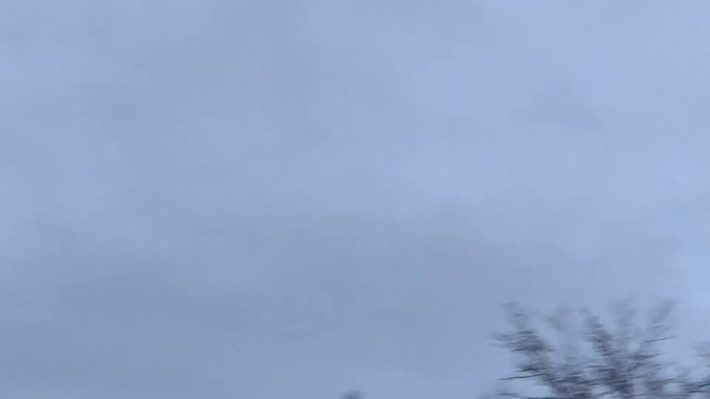 Japanese Tancho Cranes Flying at Tsurui Village, Hokkaido! Japanese Tancho Cranes Flying at Tsurui Village, Hokkaido!