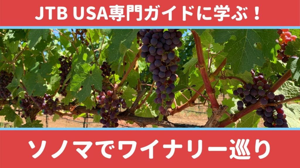JTB USA 専門ガイドコラボ企画　ソノマ　ワイナリー編