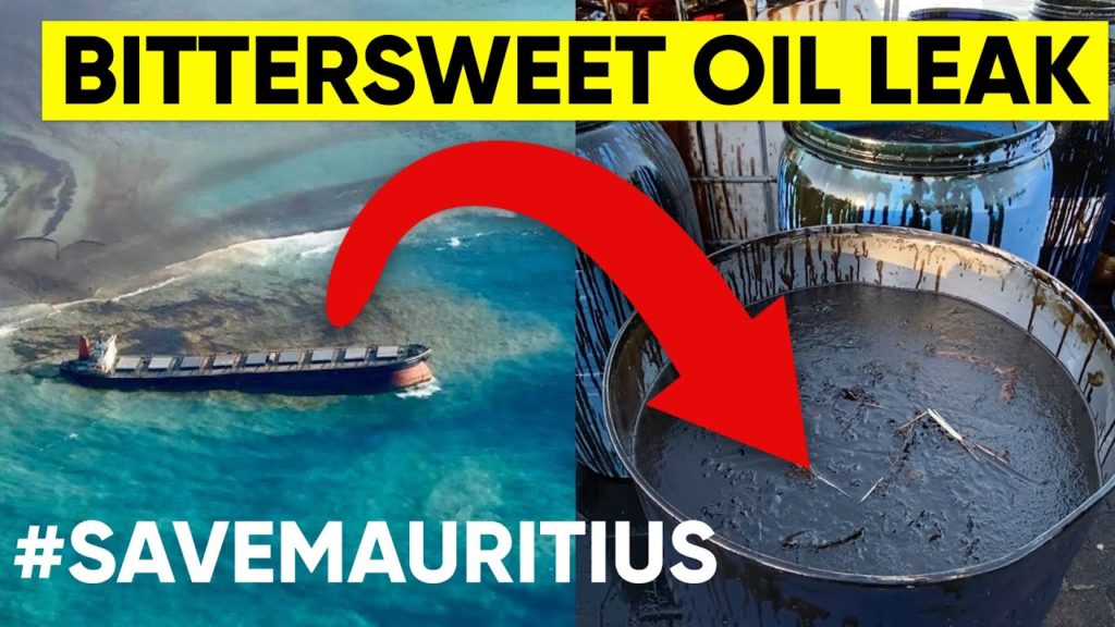 THE BITTERSWEET STORY OF THE WAKASHIO MAURITIUS OIL SPILL | DISASTROUS OIL LEAK IN MAURITIUS