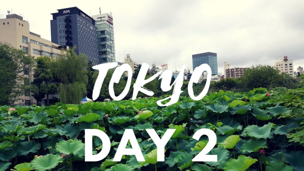 TOKYO TRIP DAY 2 | Peep Outside
