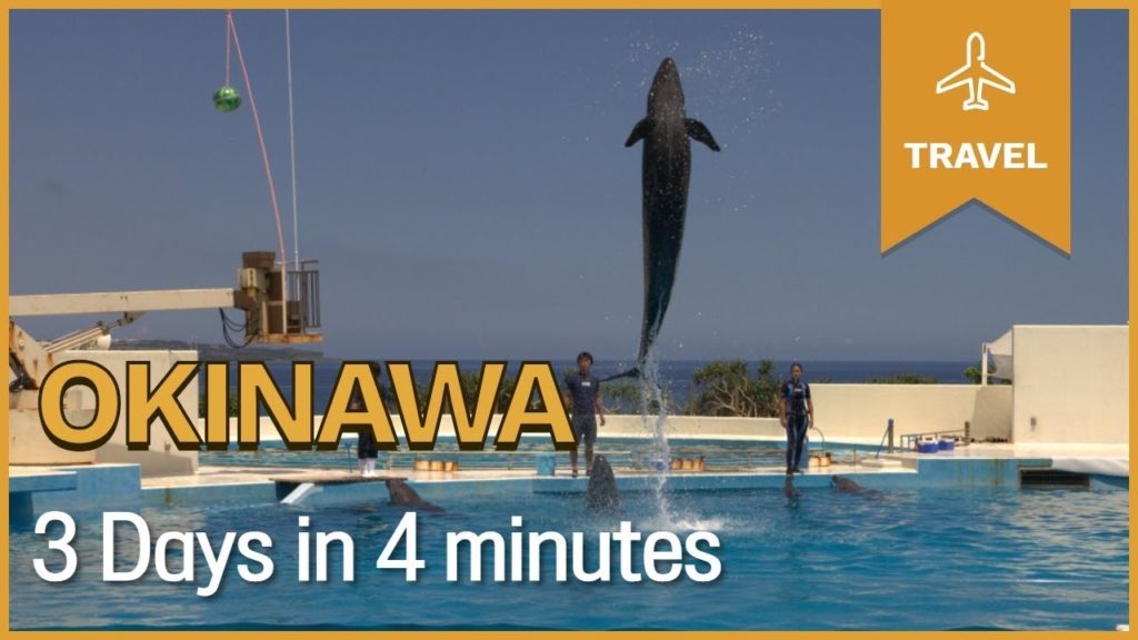 오키나와 여행, Okinawa travel vlog