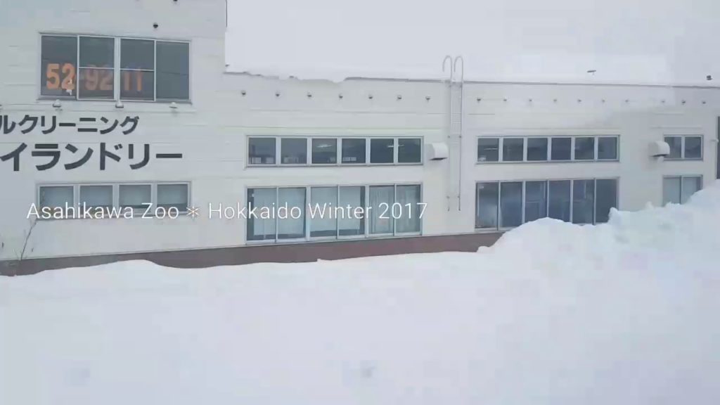Asahikawa Zoo in Winter 2017 (Hokkaido)