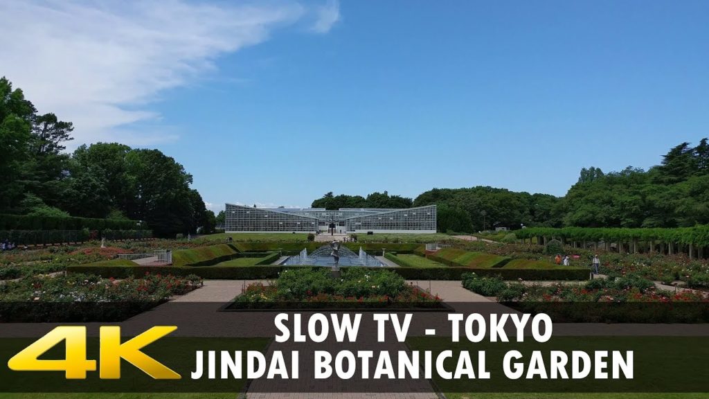 Slow TV - Walking in Tokyo - Jindai Botanical Garden. 1+ hour, 4K